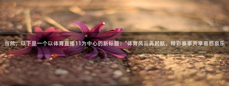 新闻图片
