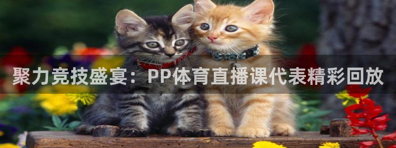 聚力竞技盛宴：PP体育直播课代表精彩回放